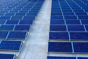 Environmental Defense Fund scaled 1