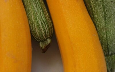 Recipe: Pearl Barley Salad With Summer Squash and Almonds