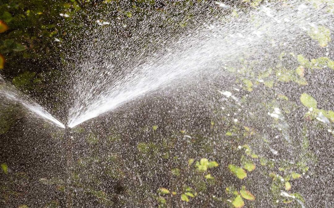 Check Your Sprinklers.  Please!