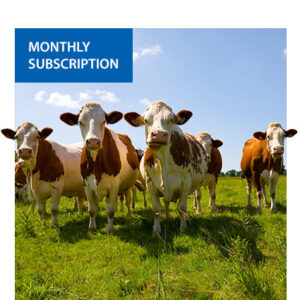 Monthly Subscription: Carbon Offset