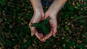 Earth Day Resolution scaled 2