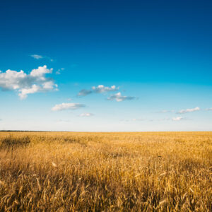 Balanced Home – Individual