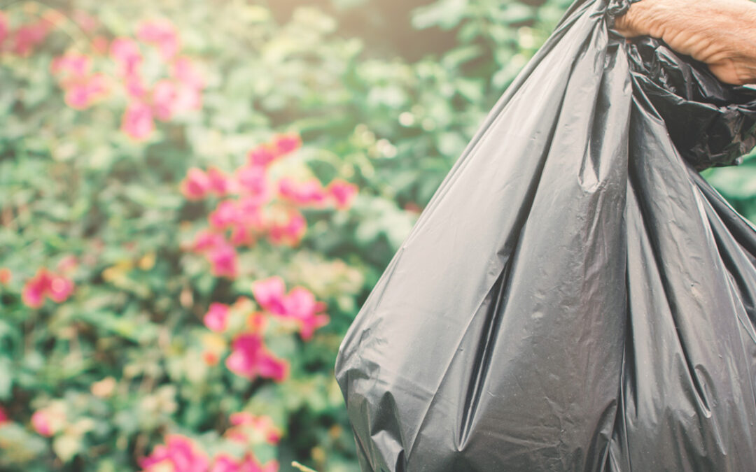 The Impact of & Alternatives for Plastic Trash Bags