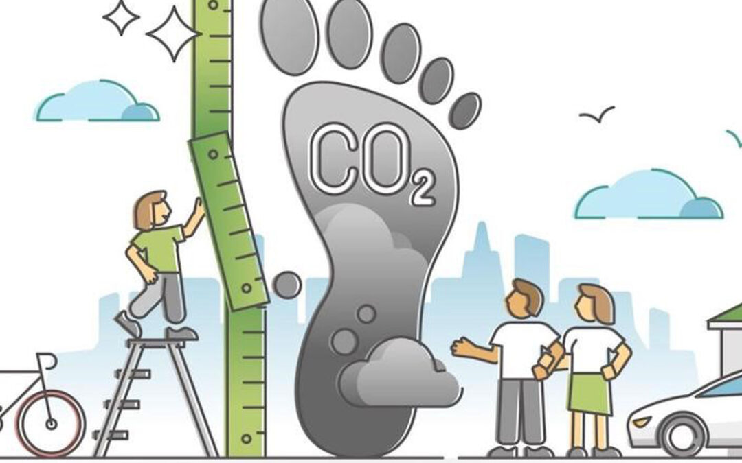 How to Buy a Carbon Offset: A Quick Guide