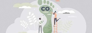 what is a carbon offset illustration 1