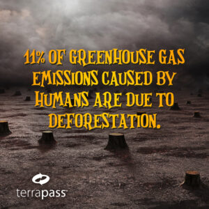 climate change facts greehoouse gas emissions deforestation illustration