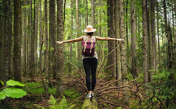 Carbon Cycle Equilibrium | Woman Walks Along Tree