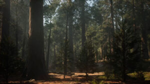 video background placeholder 1