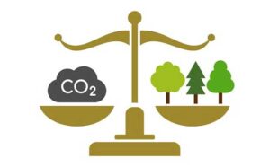 voluntary carbon market carbon credits illustration