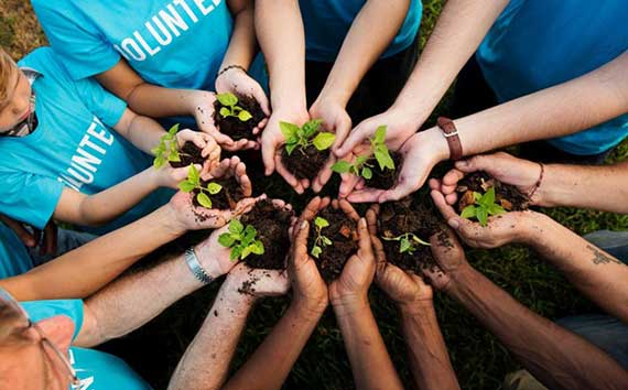 Biodiversity | Hands Celebrating New Plant Growth