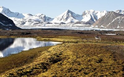 What Is Permafrost, and How Important Is It to Climate Change?