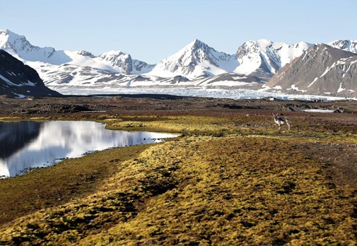 What Is Permafrost, and How Important Is It to Climate Change?