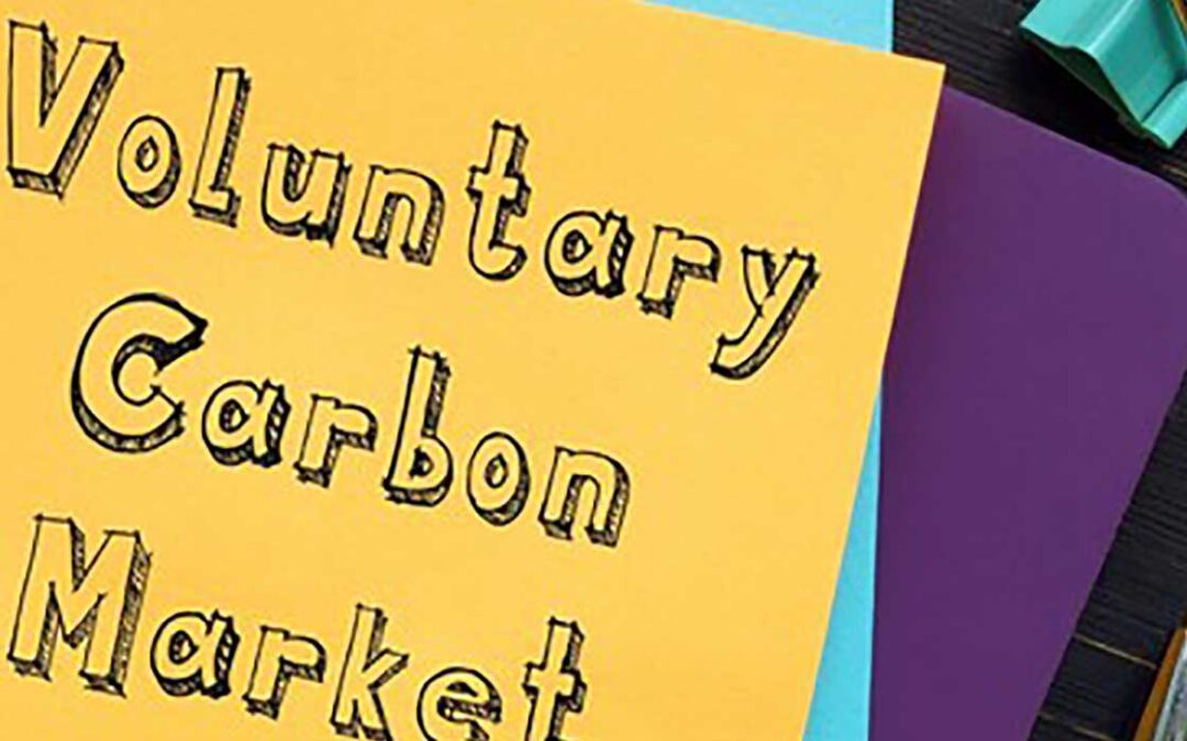 How Can Voluntary Carbon Markets Help Lessen Global Warming?