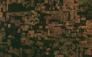 deforestation birds eye view from above