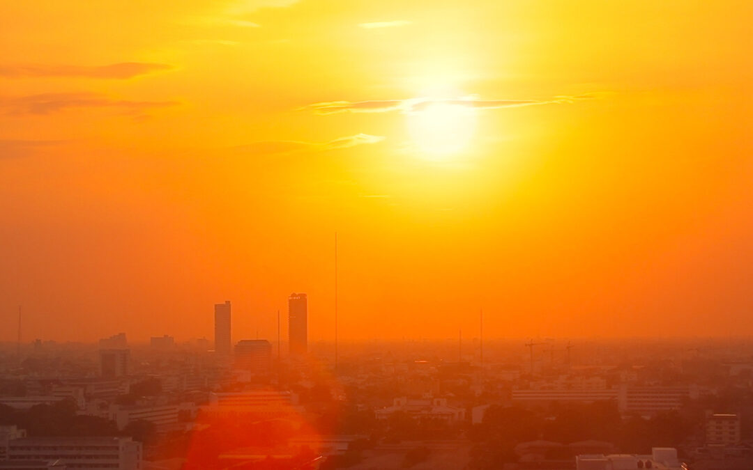 What Caused the Massive Heat Waves of 2022, and Will There Be a Repeat?