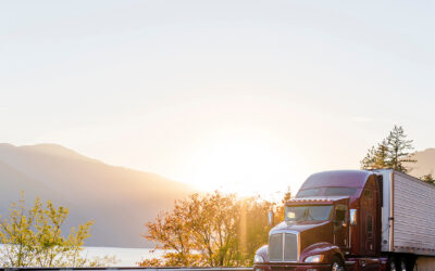 The Road to Net Zero: How Freight Companies Reduce Emissions