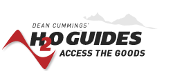 Dean Cummings H2O Guides Access The Goods logo